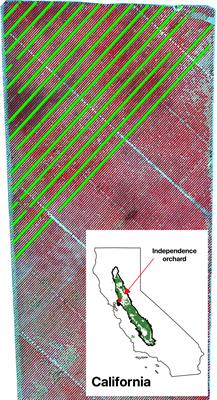 Tree-level almond yield estimation from high resolution aerial imagery with convolutional neural network